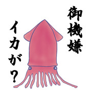 涼しくなってきましたね。