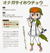 チョウ ホウ オナガ サイ
