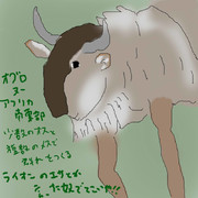 どうぶつ図鑑~オグロヌー~