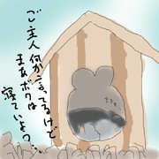 今月のいきもの～はむた(長老)～