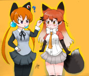 アリサとアカギツネ