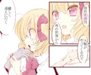 毎月七日はルーミアの日