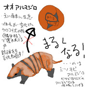 どうぶつ図鑑~オオアルマジロ~