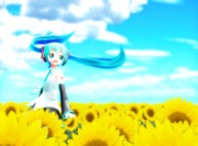 ひまわり