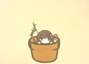 イオノシジウム