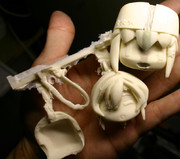 タシュケントの修正。リムジン方式で