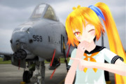 A-10大好きネルさん