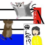今月のいきもの～はんぺんVSきすけ　時間無制限1本勝負～