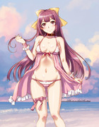 水着は嫌だと言っていたのに特注の下着っぽいものは大人しく着る神風