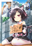 野良猫メイドが拾ってほしそうにこっちを見ている