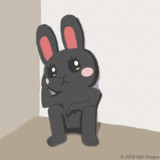 座る黒いうさぎ