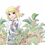 金木犀 ニコニコ静画 イラスト