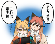 キタキツネとアカギツネ