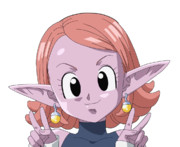 時の界王神さま