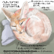 どうぶつ図鑑２　フェネック