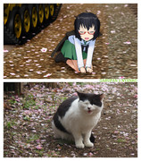 【MMDガルパン】おりょう×ニャンコ