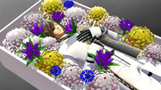 【MMD戦国BASARA】死装束