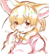 フェネックちゃん