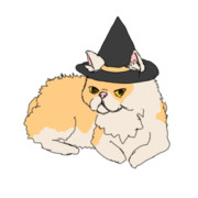 10月31日アズレンワンドロ