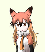 30minアカギツネ