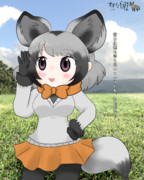 オオミミギツネちゃんなのね