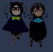 フウチョウコンビ