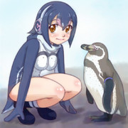 フンボルトペンギン