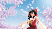 桜日和