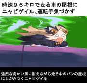 毎日アビー 62日目