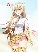 チーターさんの