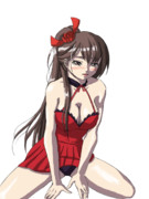 拗ねる瑞鶴　着色