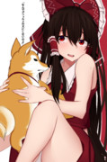 柴犬と霊夢