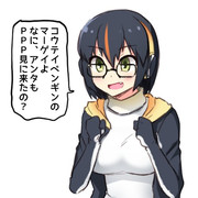 コウテイペンギンのマーゲイ