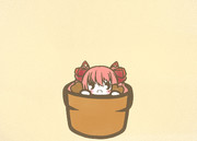 クリスマスベゴニア