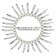山手メトロポリタンループライン