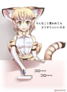 コロコロするスナネコちゃん