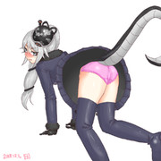 ゲンブさん