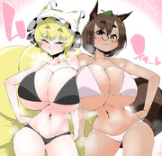 白いきつねと黒いたぬき