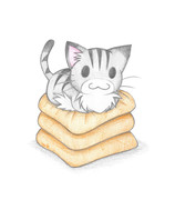 座布団に座るにゃんこ
