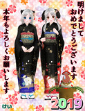 2019明けましておめでとうございます