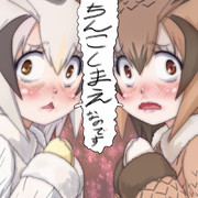 ちんこしまえ(アフリカオオコノワズク＆ワシミミズク)