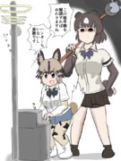 暗号機解読中にハンターにみつかるリカオン