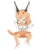 寝相の悪いカラカル