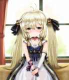 コオニタビラコちゃん