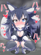 発情期タイリクオオカミ