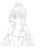 これはゾンビですか？　セラフィム