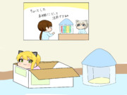 猫フレちゃんに家を買ってあげた