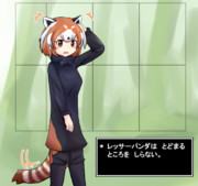 なでるとこうふんするレッサーパンダちゃん