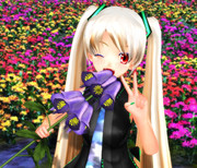 最近、姿を見ないけど元気かな？