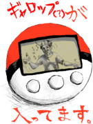 ▼あ！ やせいの ギャロップが とびだした！